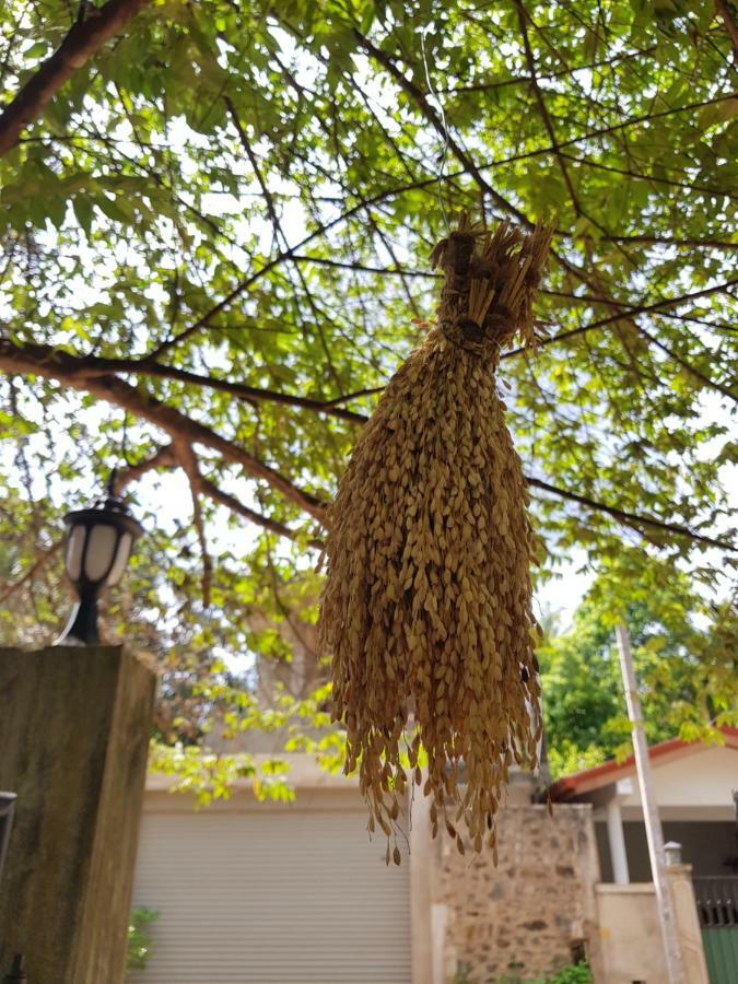 Nimal'S Home Anuradhapura Luaran gambar